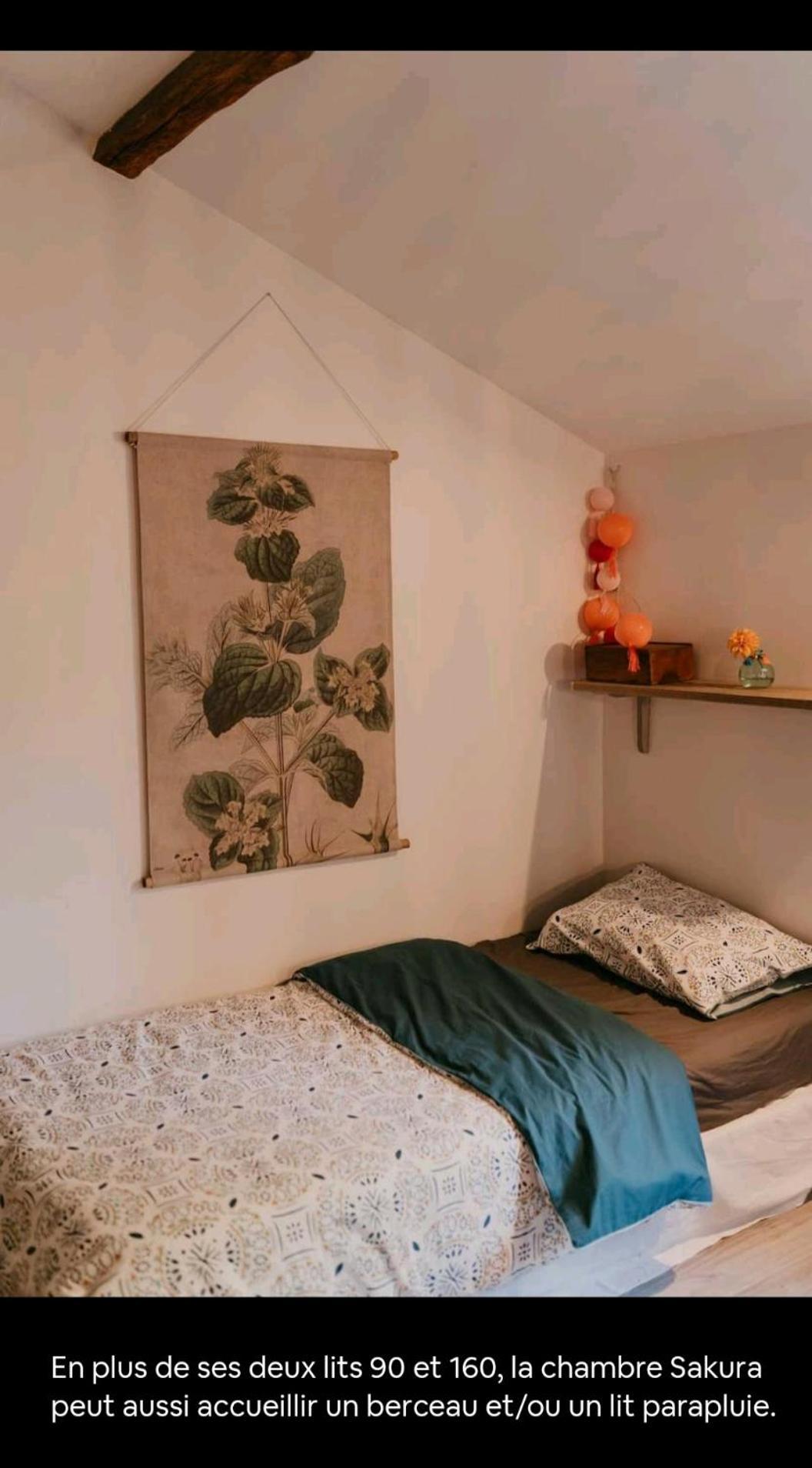 Cocon Cosy Et Deconnecte 30Min Puy Du Fou - 2 Chambres Et 1 Canape Lit Bazoges-en-Pareds Zewnętrze zdjęcie